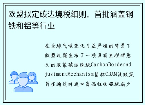 欧盟拟定碳边境税细则，首批涵盖钢铁和铝等行业
